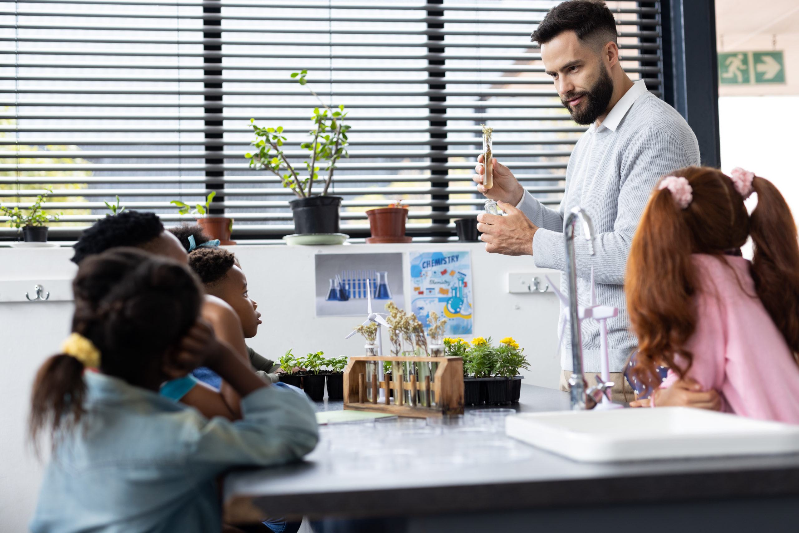 Studying plants in elementary school