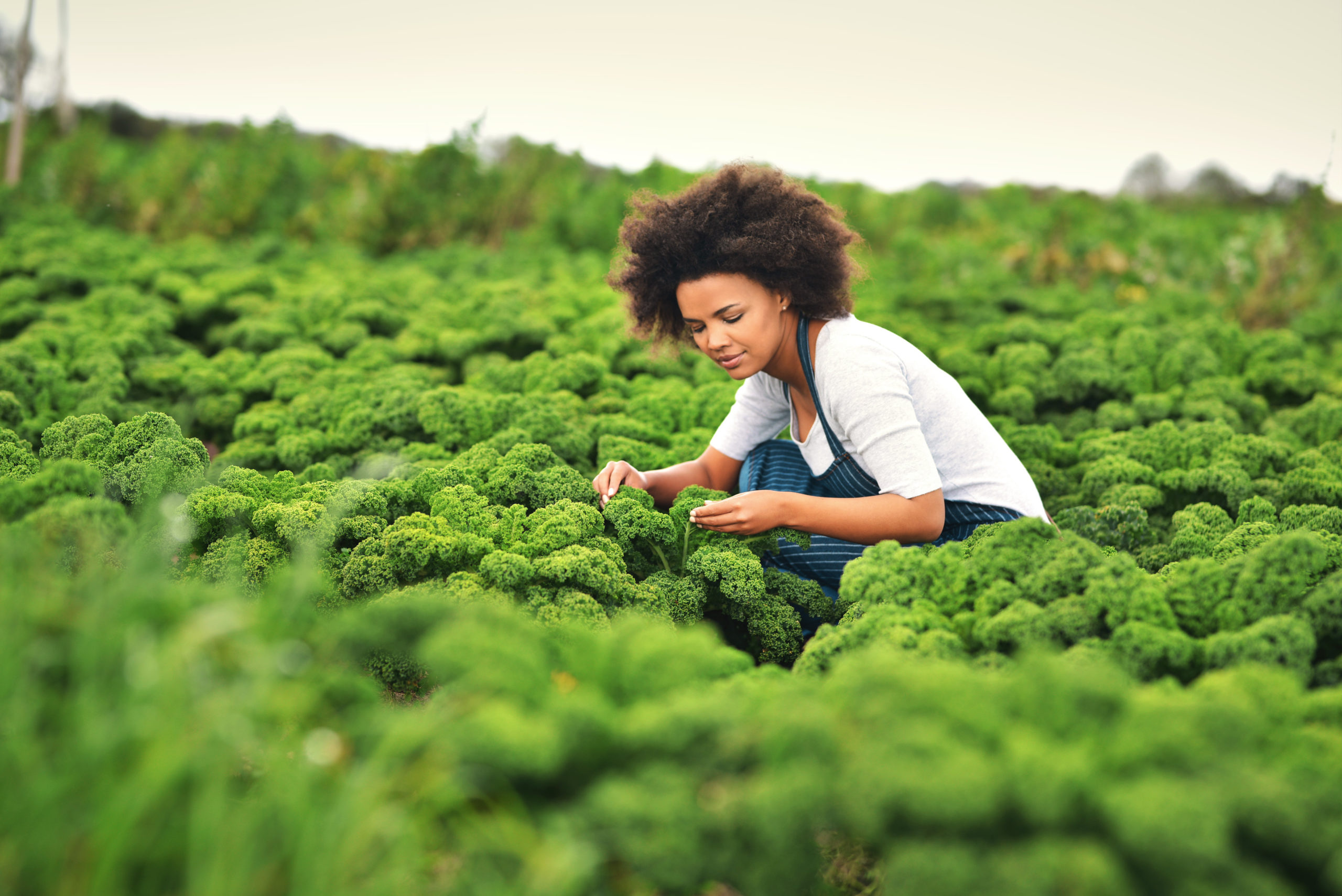 Green fingers