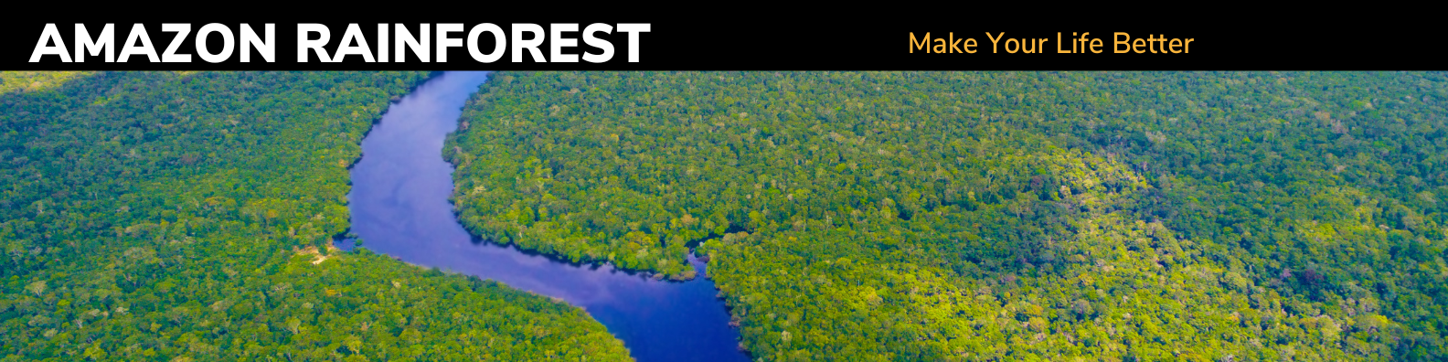 Amazon Rainforest