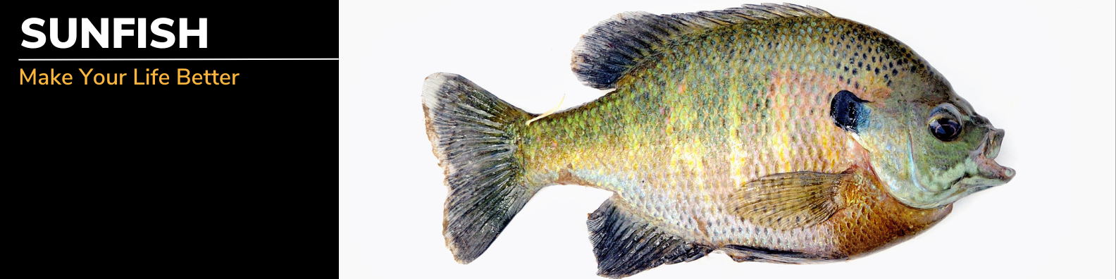 Sunfish