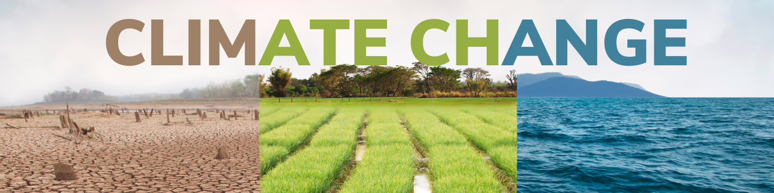 Climate Change